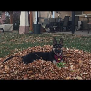 Meet your Posher, Raquel